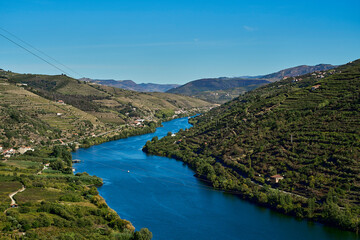 beautiful and tranquil landscape of the valley of the Douro river, a popular travel destination in Portugal and well known for its excellent wines and vineyards.