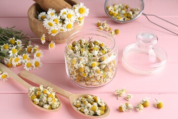 Dry and fresh chamomile flowers in dishware on pink wooden table