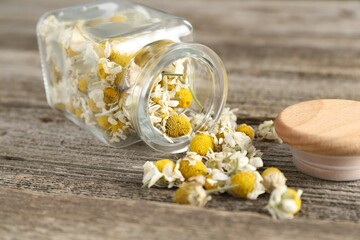 Chamomile flowers in glass jar on wooden table, closeup