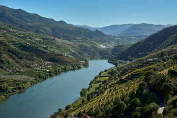 beautiful and tranquil landscape of the valley of the Douro river, a popular travel destination in Portugal and well known for its excellent wines and vineyards.