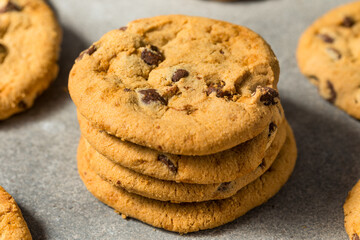 Warm Gooey Chocolate Chip Cookies