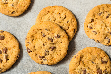 Warm Gooey Chocolate Chip Cookies