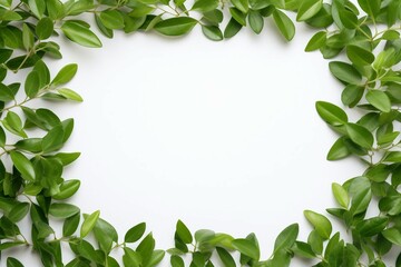 Fototapeta premium Fresh Green Leaves Arranged In A Frame Pattern On A Clean White Background. Generative AI