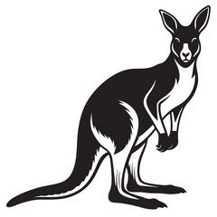 kangaroo vector illustration