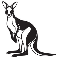 kangaroo vector illustration