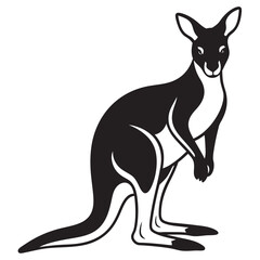 kangaroo illustration