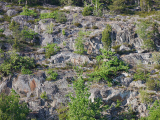 Low angle view of a mountain 