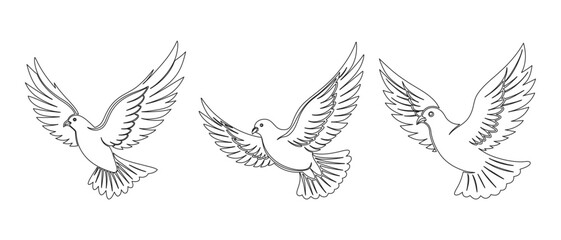 Set of linear drawings of flying doves, sketch. Icons, decorative elements, logo, vector