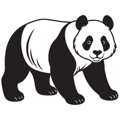 panda bear illustration