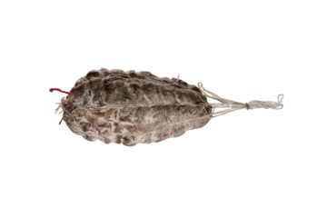 Jésus de Lyon, a dry pork sausage shaped like a pear, is a hallmark of Lyon's charcuterie and gastronomy. Transparent or white background