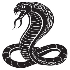 black and white snake