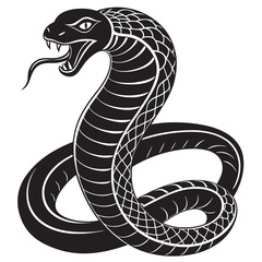 Fototapeta premium black and white snake