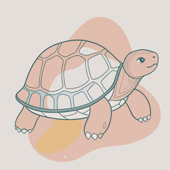 illustration of cartoon turtle