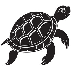turtle illustration