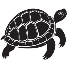 illustration of cartoon turtle