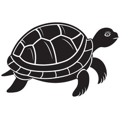 illustration of cartoon turtle