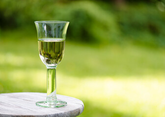 White wine and reflection of garden trees on the wooden board in the garden. Sunlight through glass of white wine in a summer garden.  Making romantic calm atmosphere.