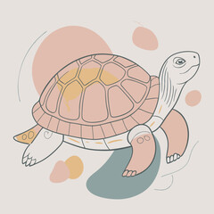 illustration of cartoon turtle