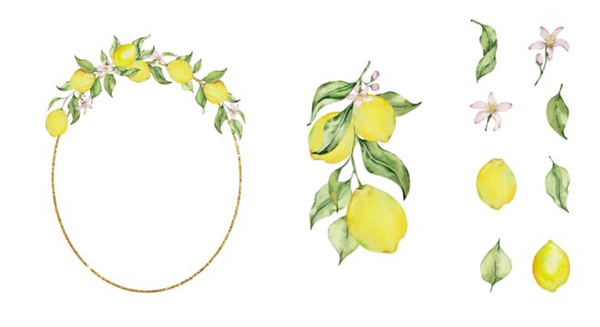 Gold frame with watercolor lemon, leaves and flowers set