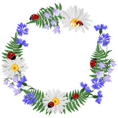 Decorative vector wreath of wild flowers, chamomile, cornflowers, campanula and ladybug