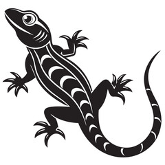 illustration of a lizard