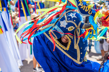 Arraial do Pavulagem is a musical group that develops an artistic and cultural movement that...