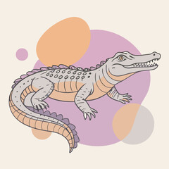 illustration of a crocodile