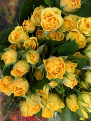 bunch of roses