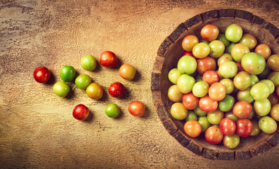 cherry plum tkemali, fruit, plum variety, in a wooden plate, Georgian cuisine, top view, no people,