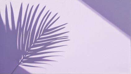 Abstract shadow of a single palm leaf on a light lilac wall background. Empty space for copy and text.