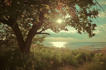 Sunlit path leading to a serene lake, framed by overhanging branches and lush greenery, a perfect summer day scene with gentle light