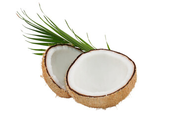 the fresh ripe coconut and green leaf isolated transparent