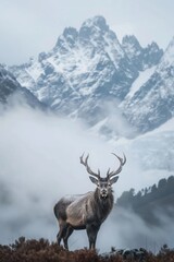 Fototapeta premium lone deer standing in front of misty snow-covered mountains, 2:3