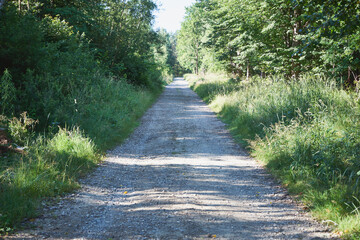 droga  © Marcin Łazarczyk