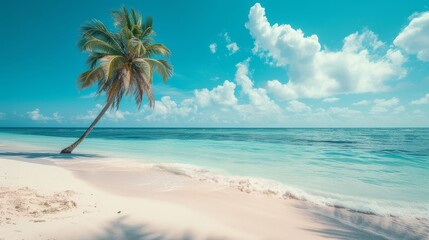 A Lone Palm Tree Leans Over Pristine White Sand On A Tropical Beach