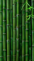 Close-up of green bamboo stalks