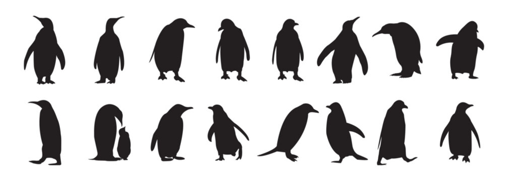 Black silhouettes of penguins set on a white background, silhouette penguin different pose walking and skating,