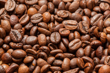 Roasted coffee beans in detail