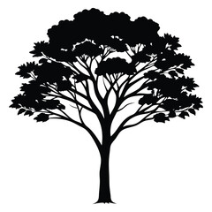 Silhouette of a tall tree with spreading branches and dense foliage - vector illustration