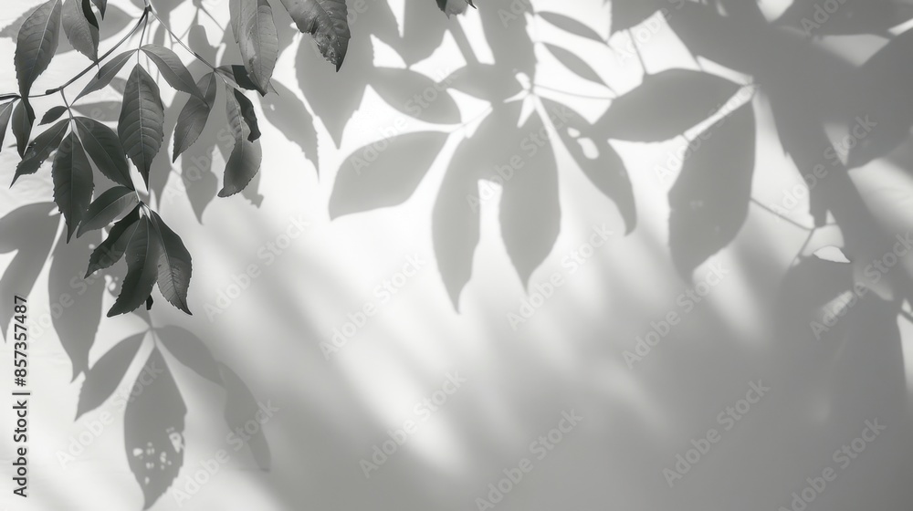 Poster A monochrome image of abstract shadows cast by leaves on a white wall, creating a minimalist and elegant composition.