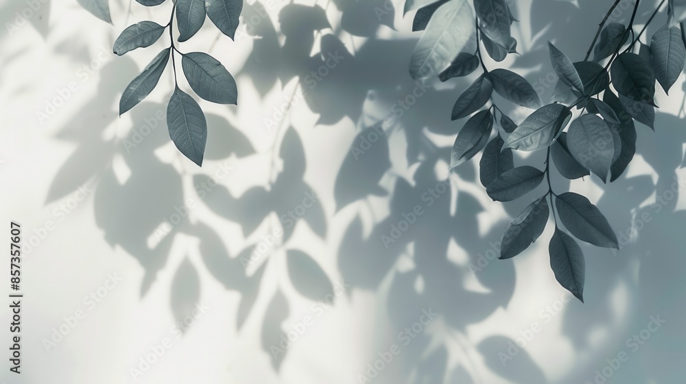 Poster a minimalist composition of leaf shadows cast against a white wall, creating an ethereal and calming