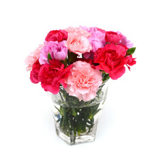 Decorative red carnation flowers on white