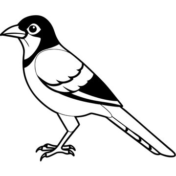 recommend clip art: Jay line art vector illustration and  svg