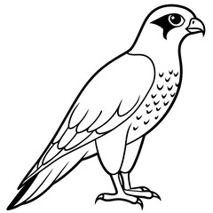 Peregrine Falcon line art vector illustration