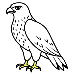Fototapeta premium Red-tailed Hawk line art vector illustration