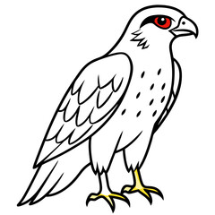 Red-tailed Hawk line art vector illustration