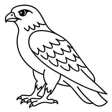 recommend clip art: Peregrine Falcon line art vector illustration