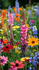 A vibrant summer garden full of blooming flowers