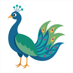 peacock illustration