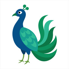 peacock illustration